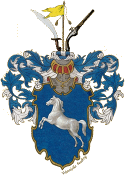 Sabelskj&ouml;ld