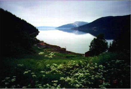 svaleng4